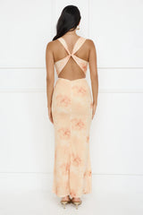 Citrus Sizzle Mesh Maxi Dress Orange